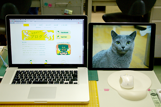 MacBook Proと、猫の画像を映したiPad Proを並べた写真