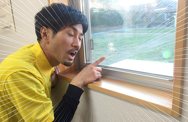 トン太が窓の汚れを見てゲンナリしている写真