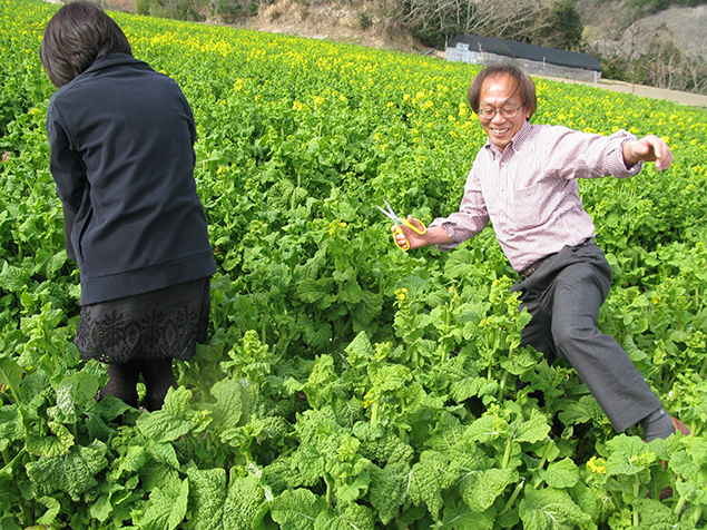 写菜の花畑ではしゃぐトン十郎の写真