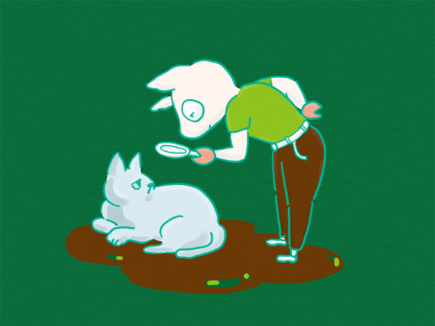 猫の体に神を探しているイラスト