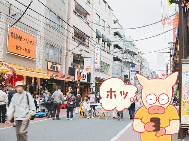 巣鴨でホッとするトン十郎のイラスト