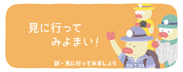 かよトン「見に行ってみよまい!」
