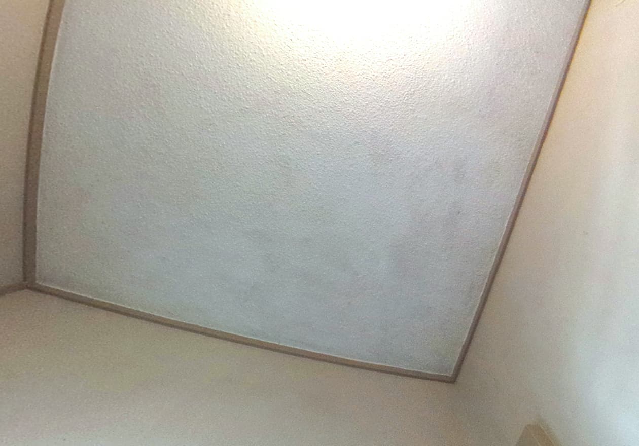 清掃後、カビが綺麗にとれた天井の様子